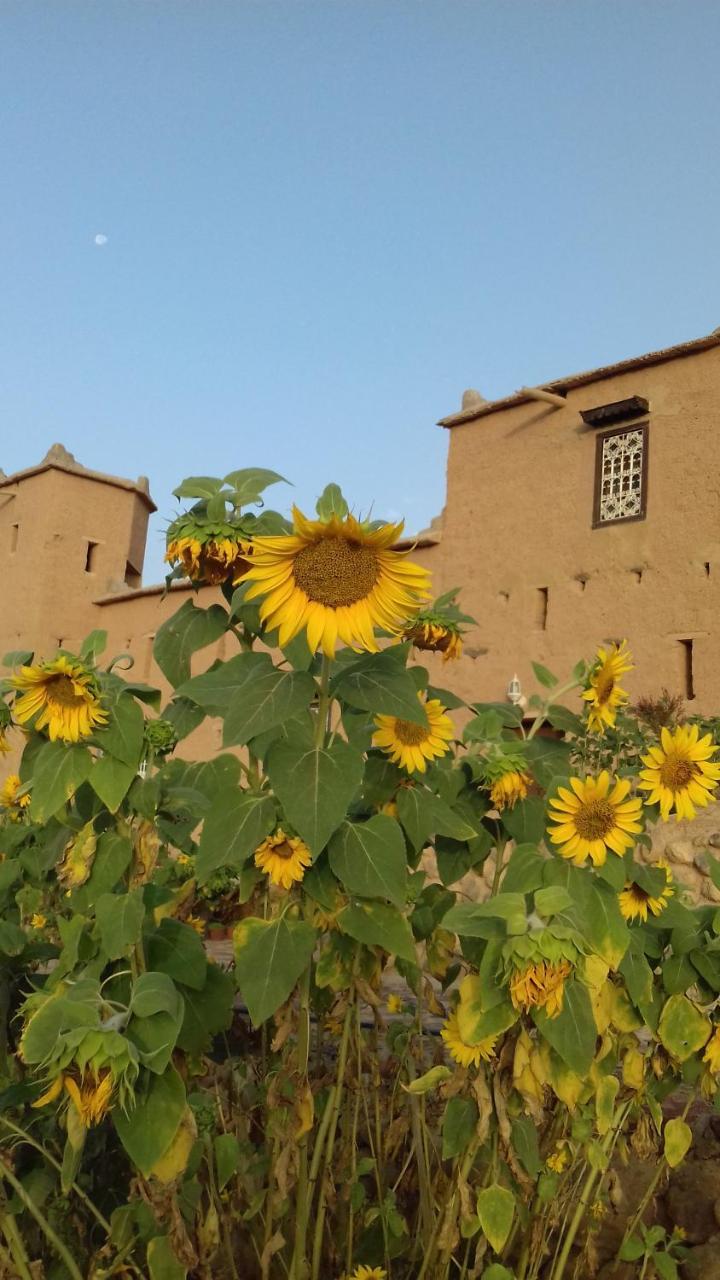Kasbah Izoran Otel Midelt Dış mekan fotoğraf