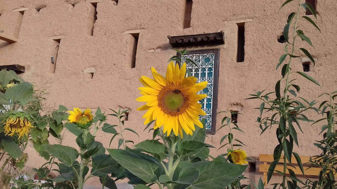 Kasbah Izoran Otel Midelt Dış mekan fotoğraf