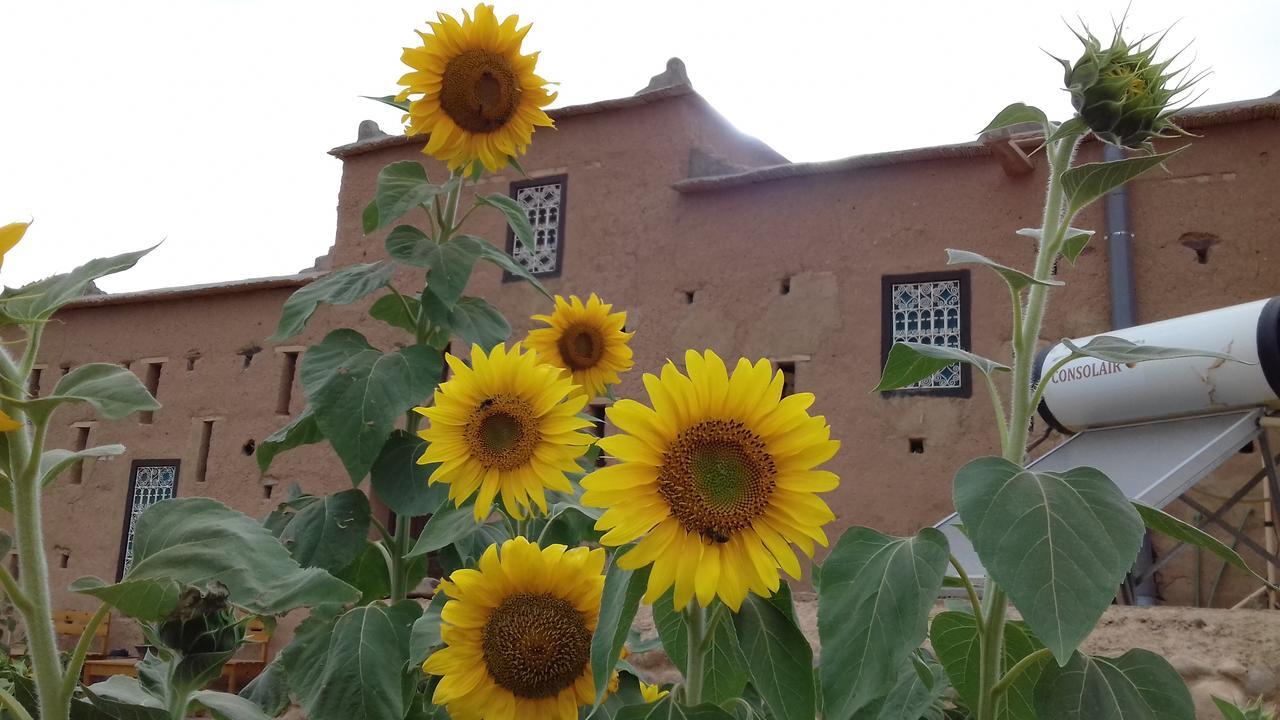 Kasbah Izoran Otel Midelt Dış mekan fotoğraf