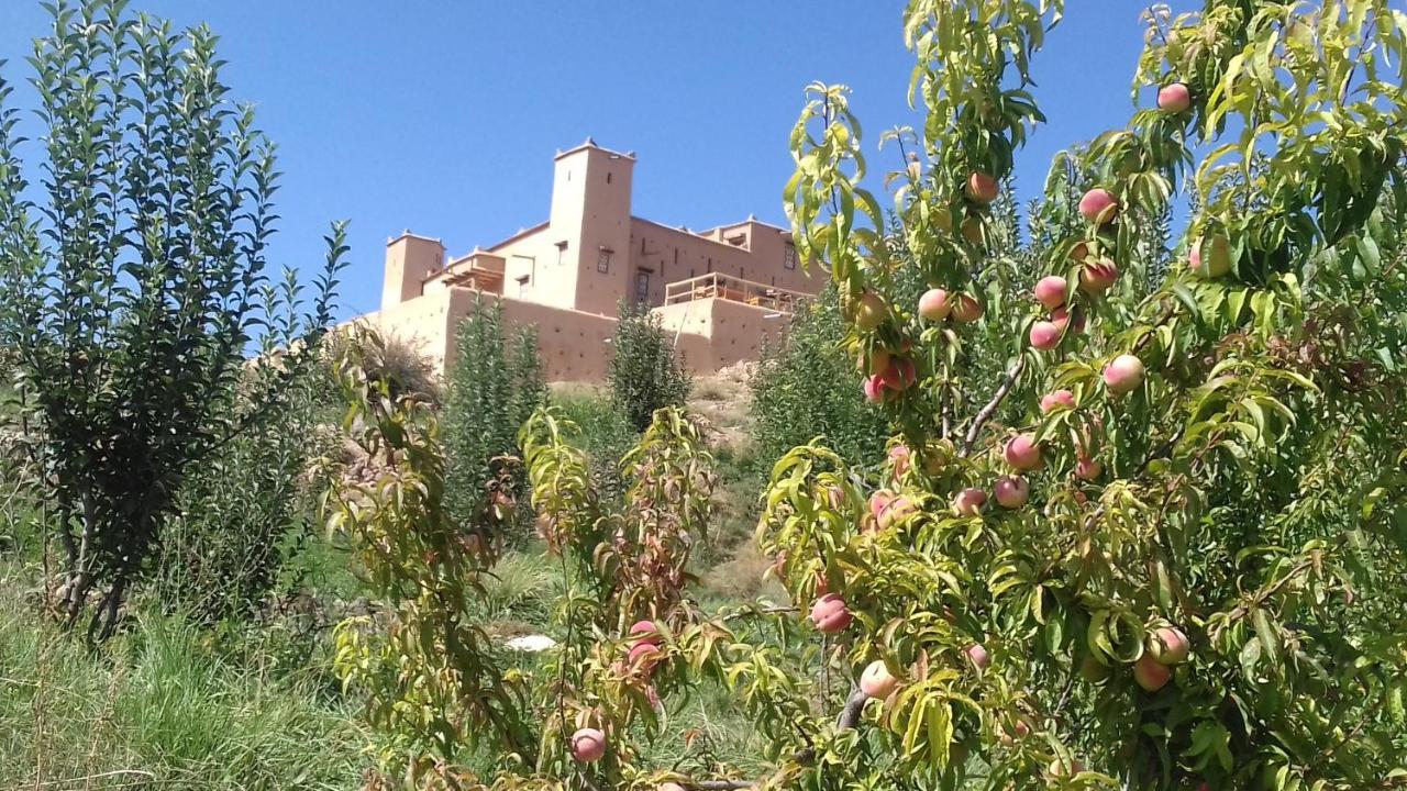 Kasbah Izoran Otel Midelt Dış mekan fotoğraf